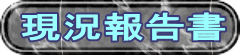 現況報告書